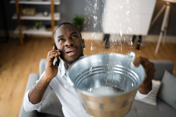 Best Water damage restoration cost  in Chatham, IL