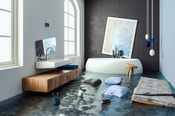 Best Water damage contractors near me  in Chatham, IL