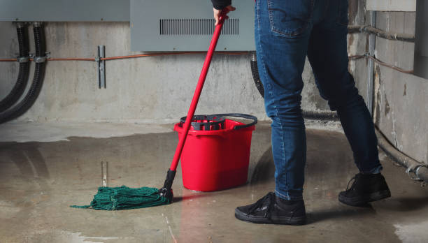 Best Ceiling water damage repair  in Chatham, IL