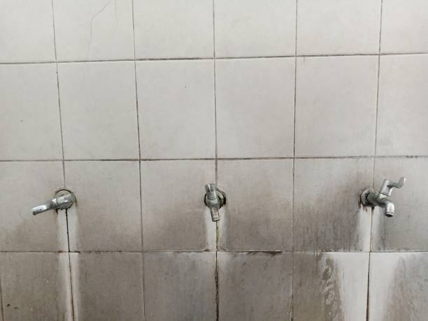 Best Emergency water damage restoration  in Chatham, IL