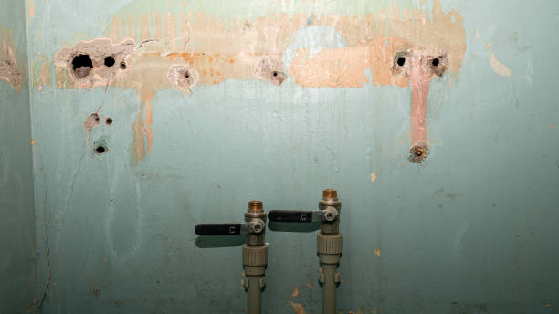 , IL Water damage restoration Company