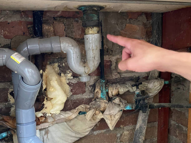 Best Fire Damage Restoration  in Chatham, IL