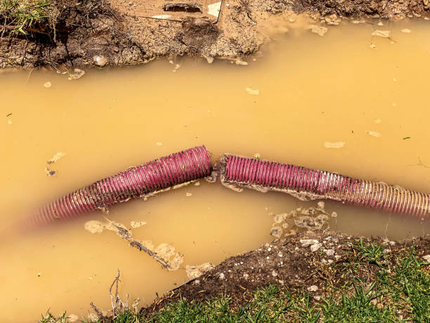  Chatham, IL Water damage restoration Pros