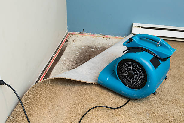 Best Flooded house restoration  in Chatham, IL